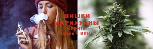 ГАЛЛЮЦИНОГЕННЫЕ ГРИБЫ Вязьма