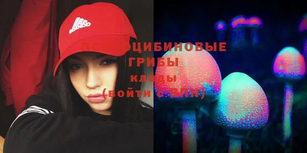 МДПВ Волосово